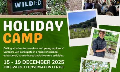 Wilded Holiday Camp